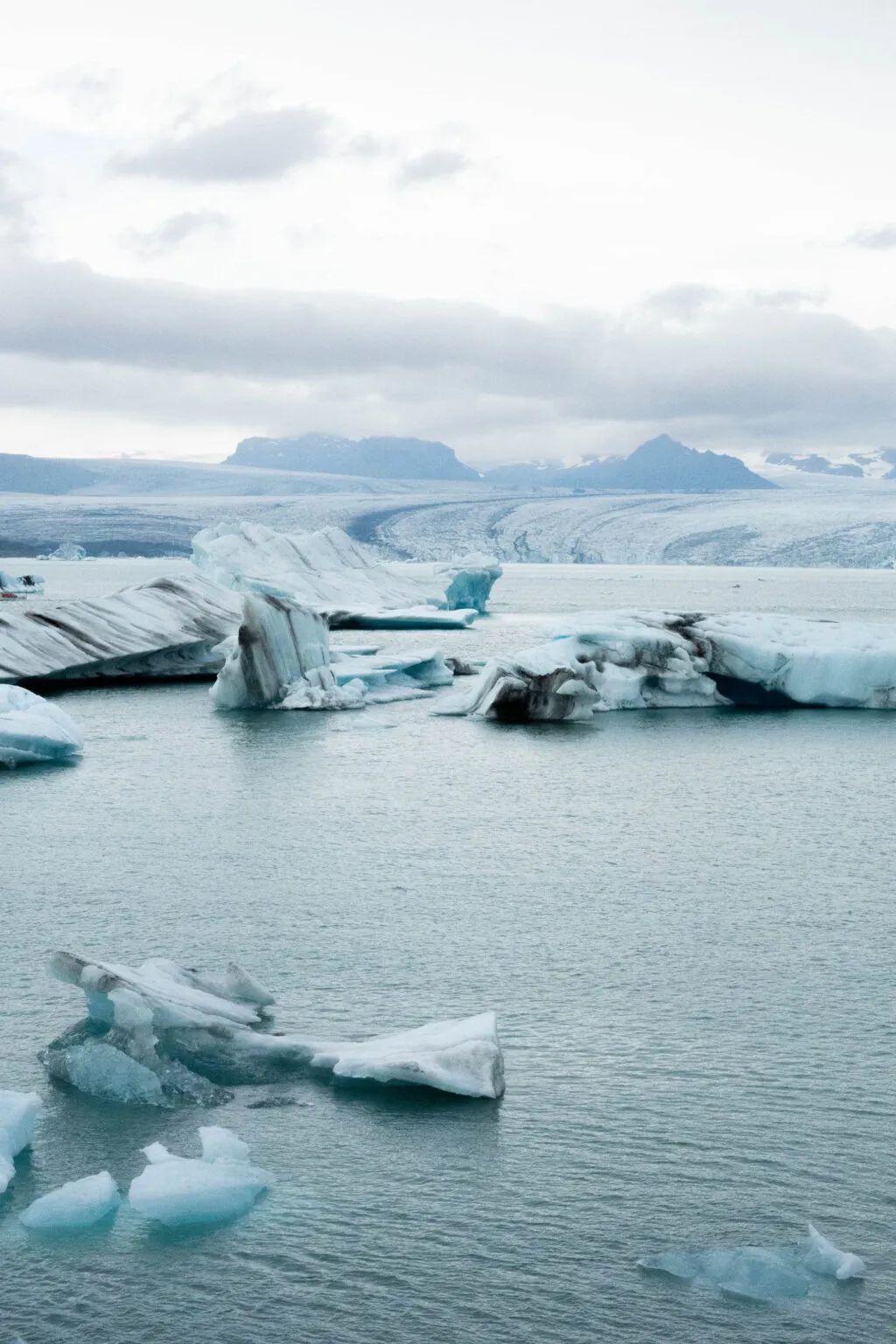Blauwwitte ijsbergen drijven in het kalme water van de gletsjerlagune Jökulsárlón in IJsland, met een gigantische gletsjer en bergen onder een bewolkte hemel op de achtergrond.