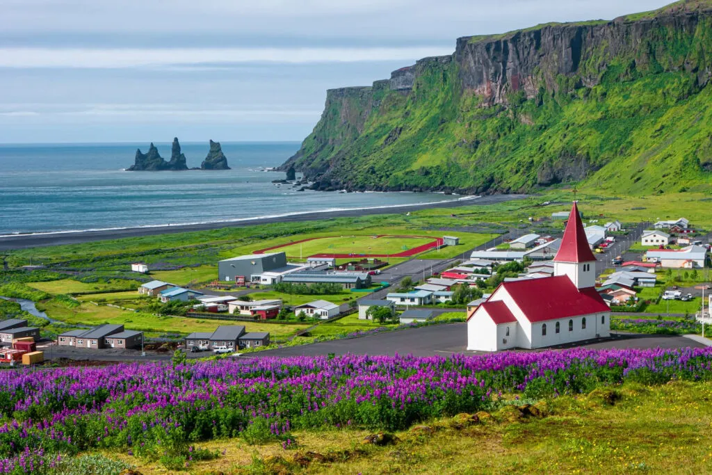 Een wit kerkje met een rood dak staat boven het dorp Vík í Mýrdal, omgeven door paarse lupinen en met uitzicht op de kliffen en oceaan in Zuid-IJsland.