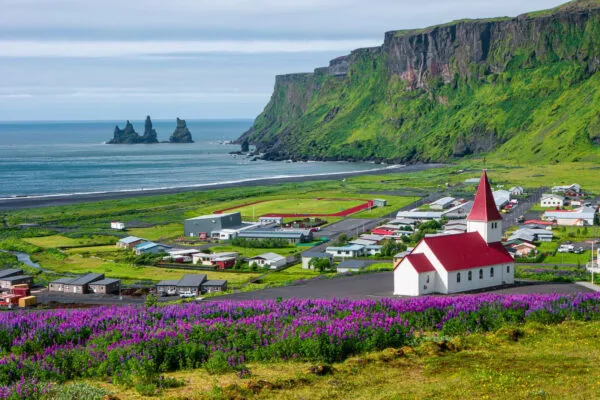 Een wit kerkje met een rood dak staat boven het dorp Vík í Mýrdal, omgeven door paarse lupinen en met uitzicht op de kliffen en oceaan in Zuid-IJsland.