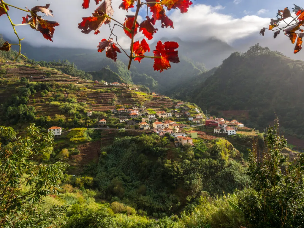 Een doorkijkje op het groene landschap van Madeira