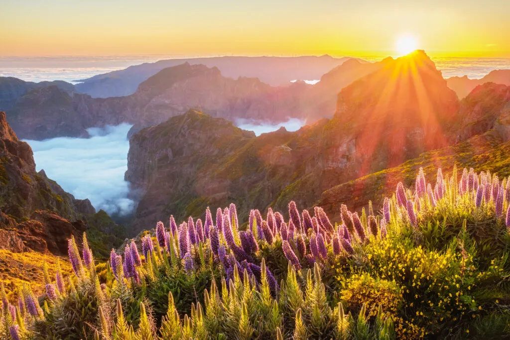 Uitzicht vanaf Pico Do Arieiro op Madeira met zonsondergang
