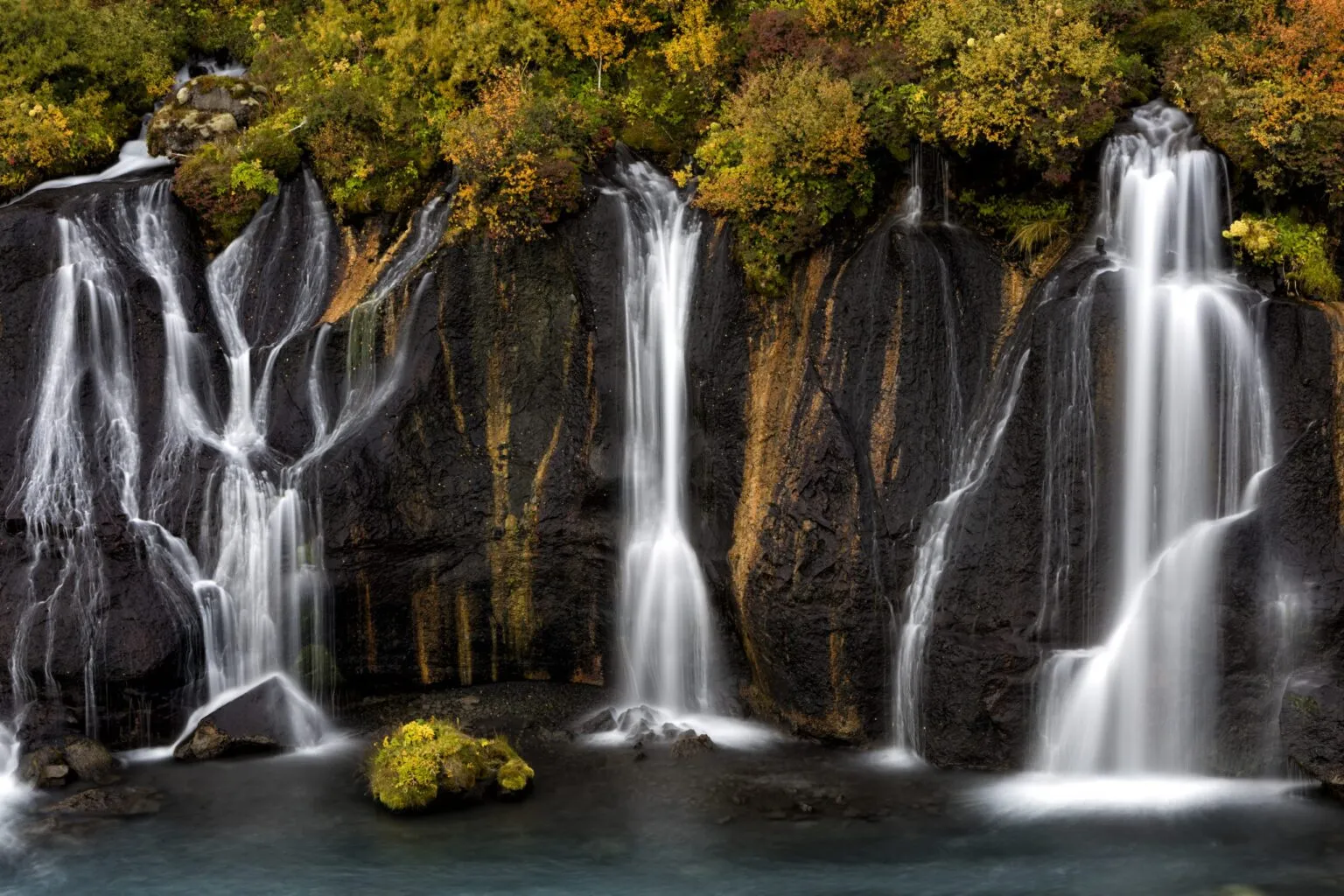 Panorama van de Hraunfossar-watervallen in IJsland, waar talrijke heldere waterstroompjes onder het Hallmundarhraun-lavaveld vandaan sijpelen en tussen herfstkleurige struiken in de Hvítá-rivier neerstorten.