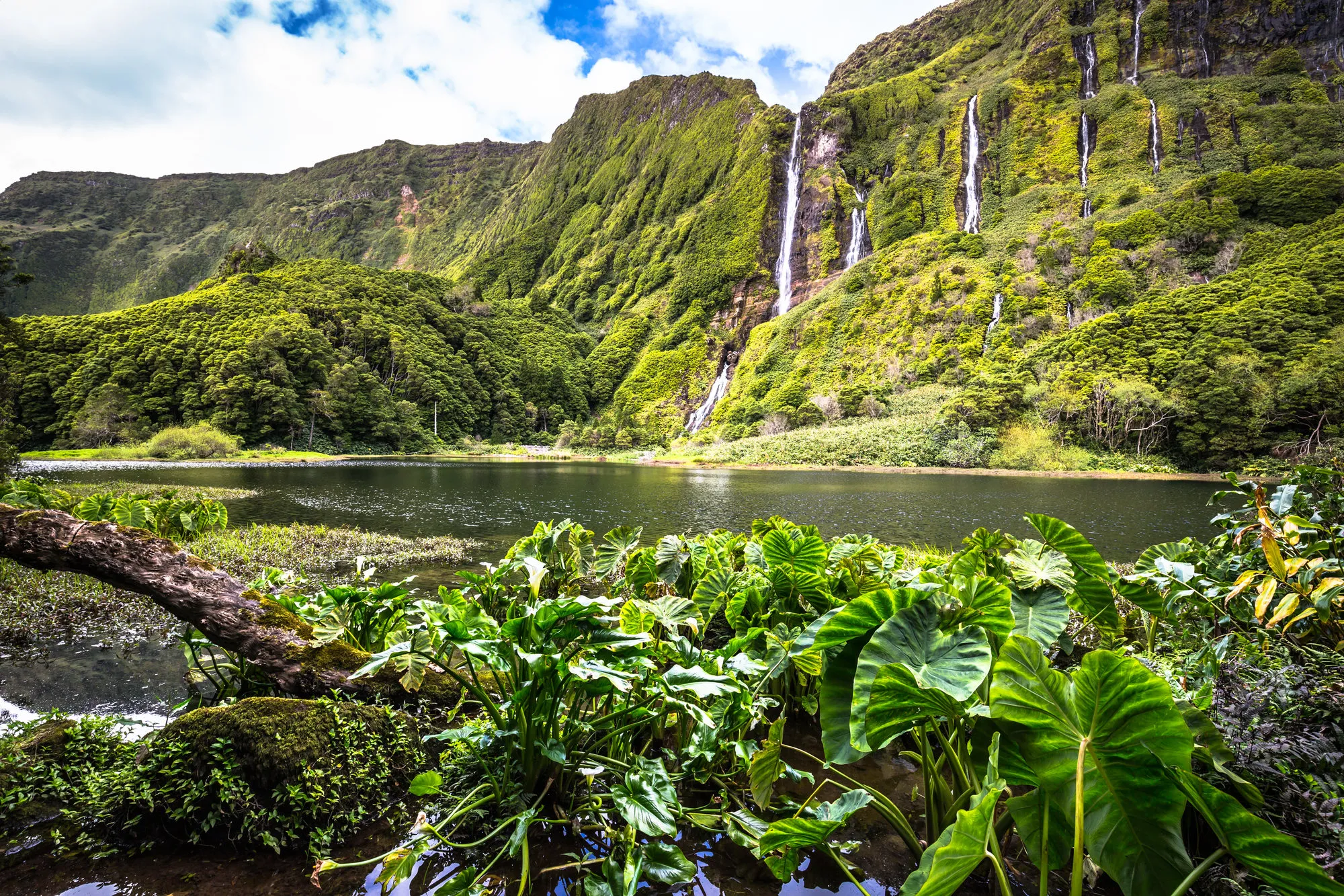Azoren Flores Poco Da Ribeira Do Ferreiro Alagoinha Waterval Meren Groen Uitzicht lagoa