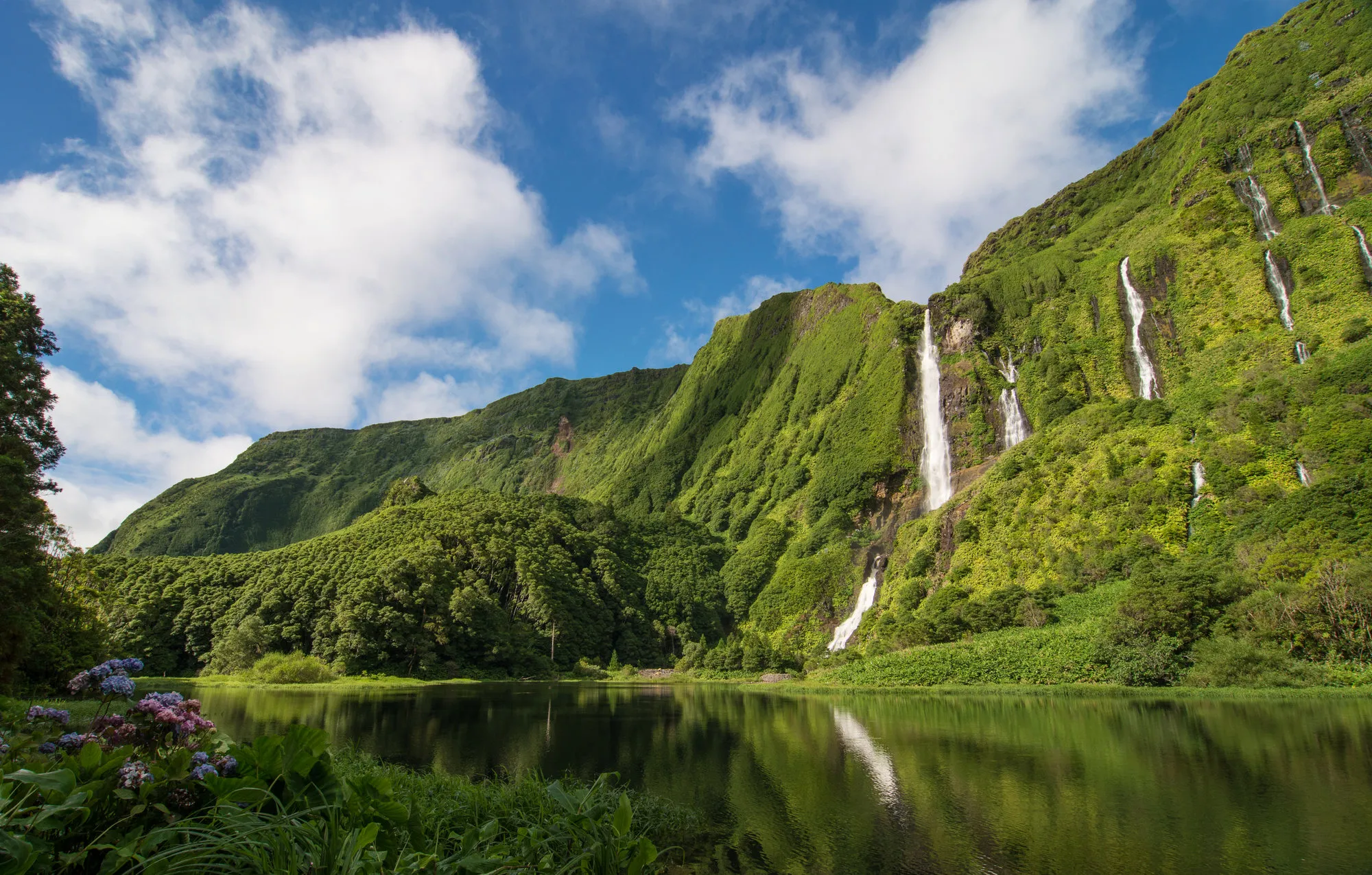 Azoren Flores Poco Da Ribeira Do Ferreiro Waterval Meer Kliffen Natuur Groen