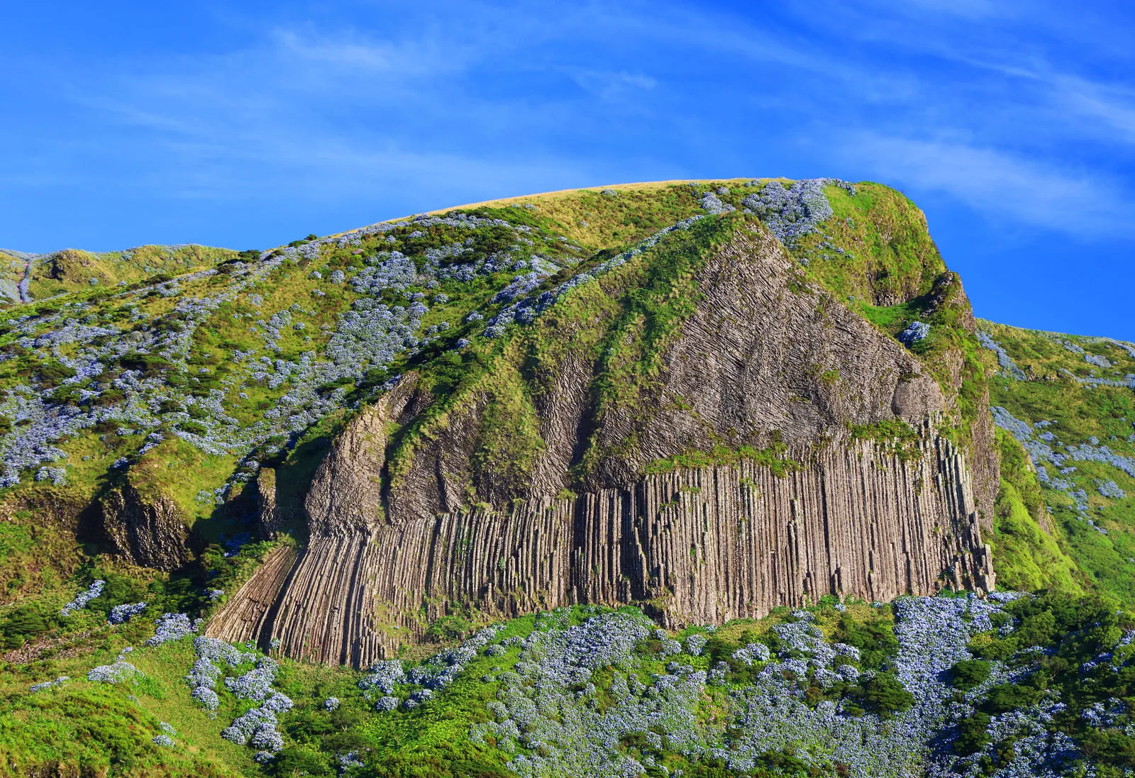 Azoren Flores Rocha Dos Bordões Rotswand Basaltzuilen Natuursteen