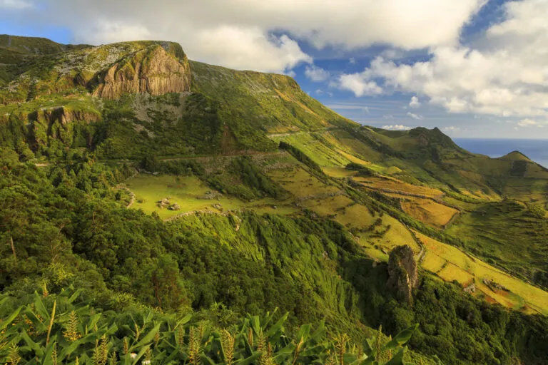 Azoren Flores Rocha Dos Bordoes Berg Rots Groen Drone foto
