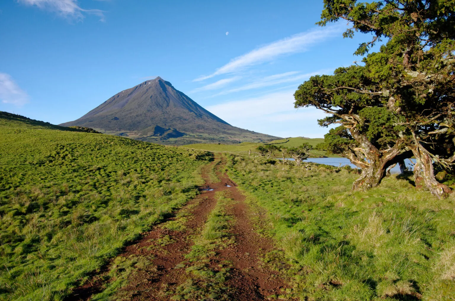 Een onverharde zandweg loopt door groene weilanden langs een meertje, met de imposante vulkaan Mount Pico op de achtergrond.