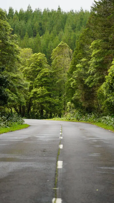Azoren Pico Reisinformatie Weg Roadtrip Groene Bergen