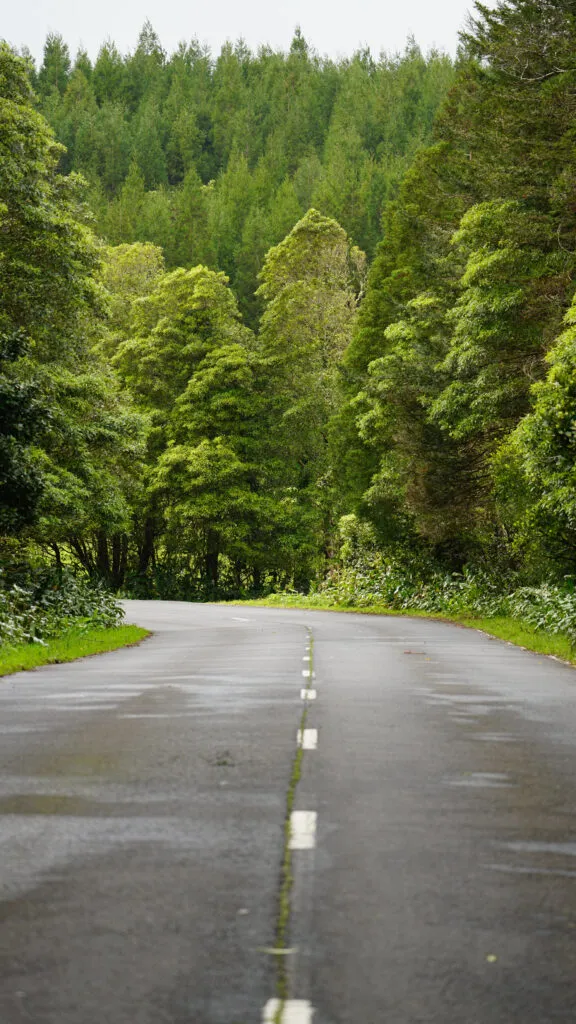 Azoren Pico Reisinformatie Weg Roadtrip Groene Bergen