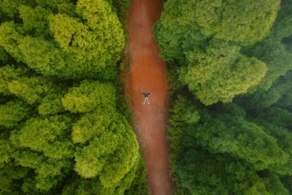 Reiziger liggend op een onverharde weg door een dicht groen bos op de Azoren