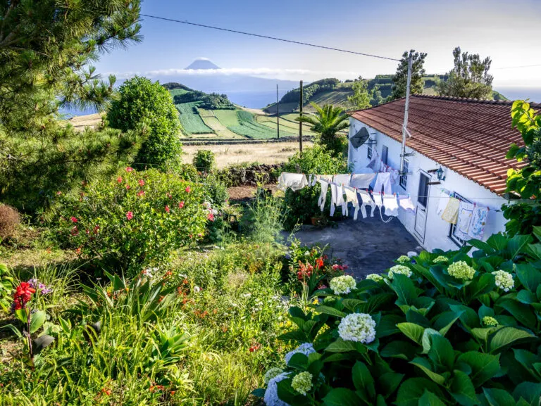 Azoren Sao Jorge Natuur Huis Kleding Uitzicht Pico Bloemen Heuvels
