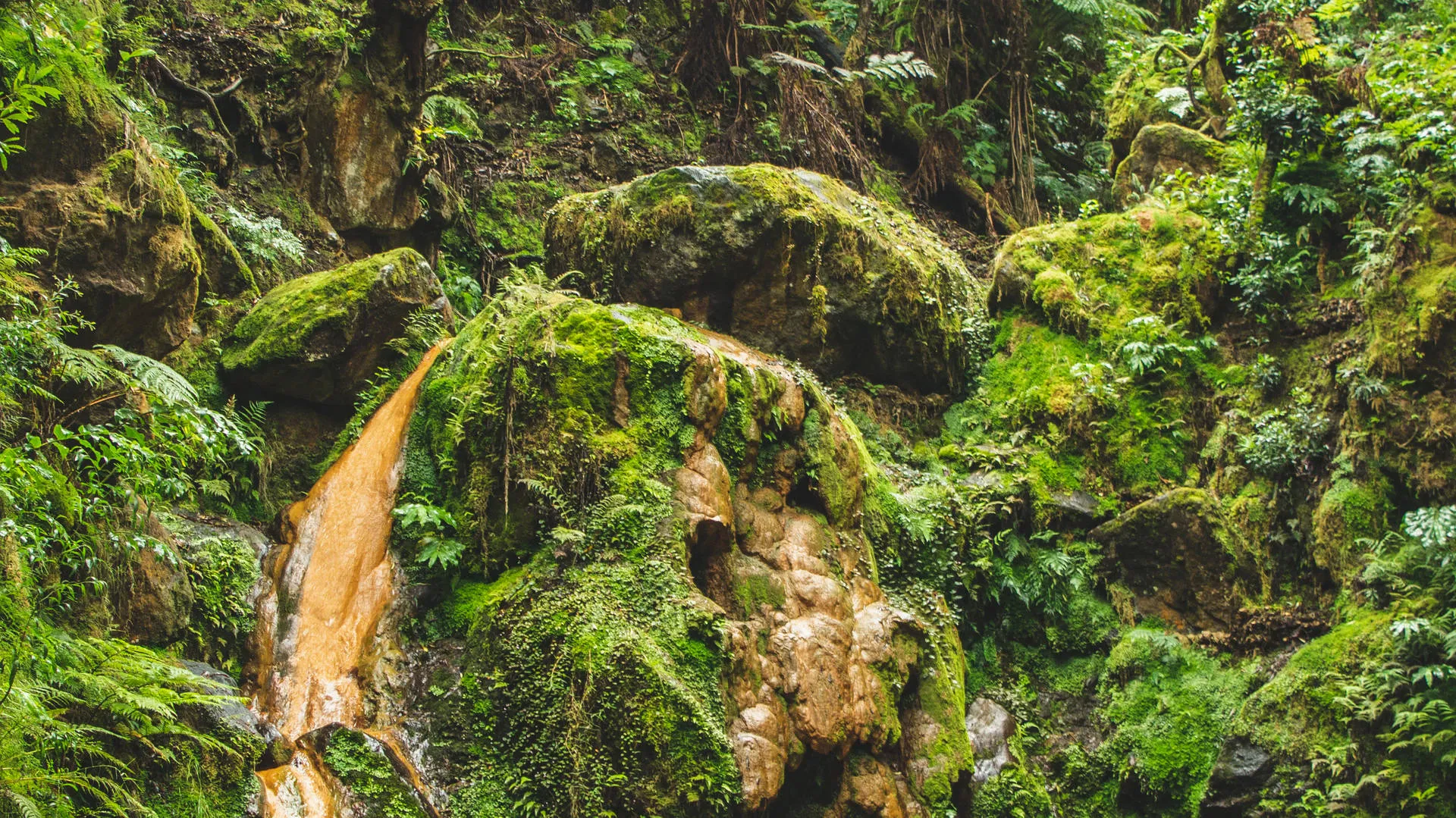 Azoren Sao Miguel Furnas Caldeira Velha Natuurlijk Zwembad Natuur Groen