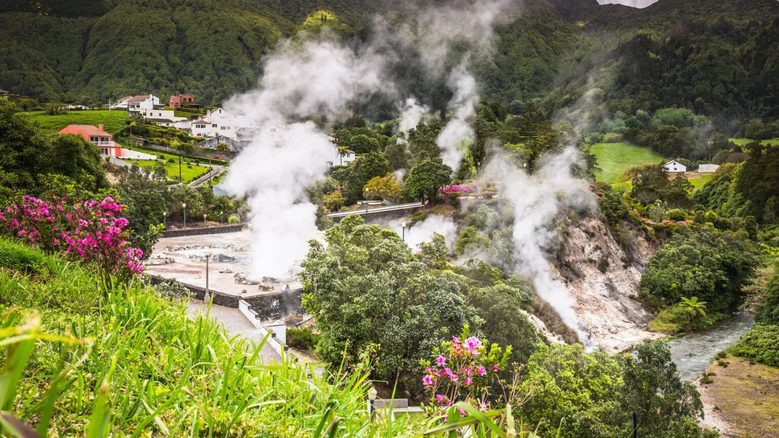 Dichte witte stoomwolken die opstijgen uit de geothermische heetwaterbronnen van Furnas, omgeven door groene heuvels en roze bloemen op het eiland São Miguel in de Azoren