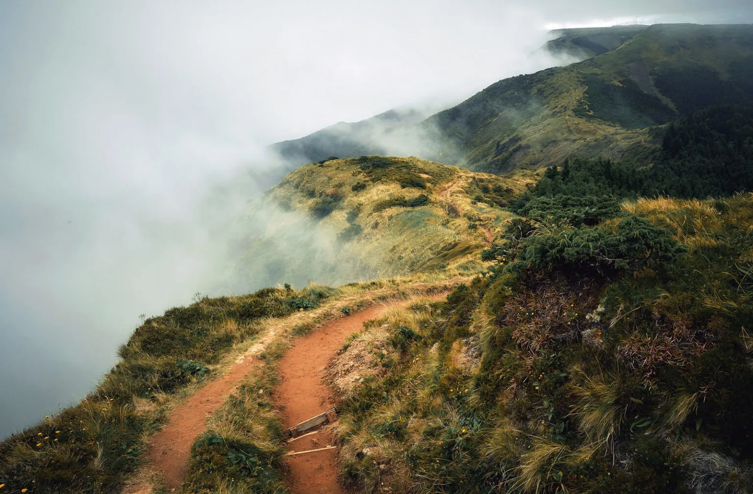 Smal onverhard wandelpad dat over een groene bergkam slingert, half gehuld in dichte mist in het berglandschap van São Miguel op de Azoren