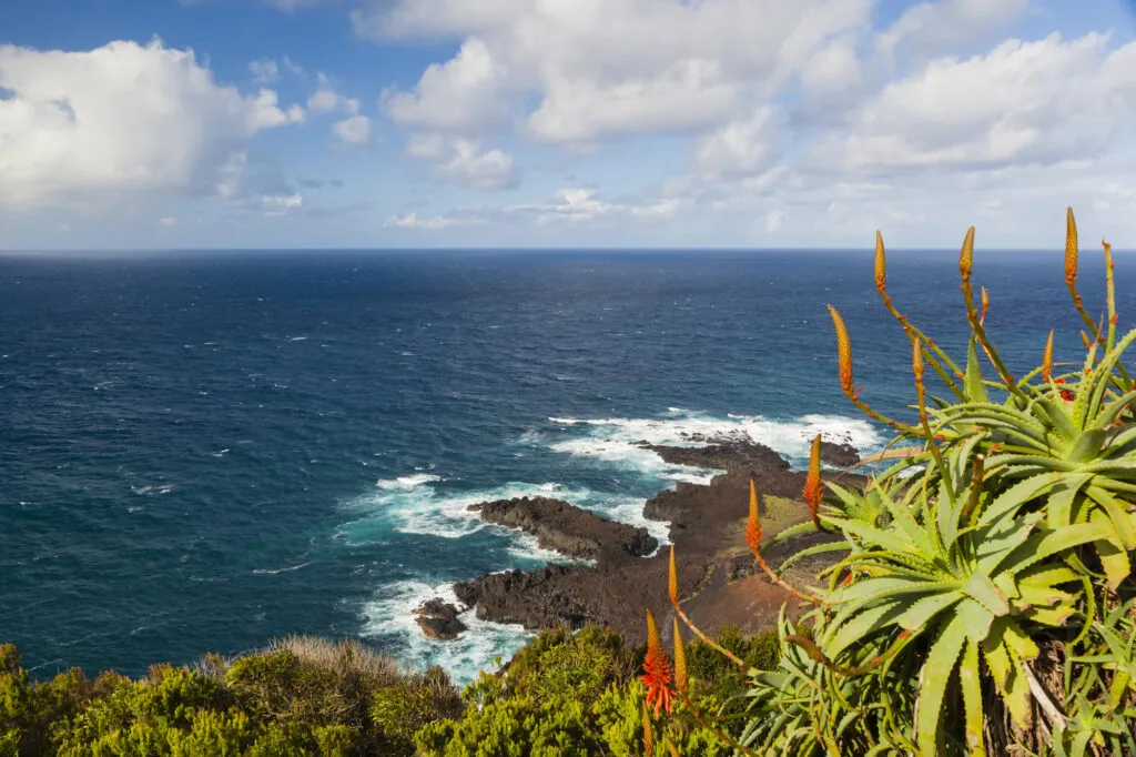 Azoren Sao Miguel Ponta Da Ferreiria View Zee Kust Agave Plant Bloemen zee