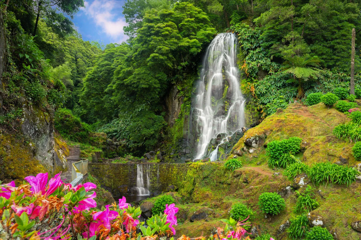 Een brede waterval stroomt naar beneden door een weelderig groene omgeving met roze bloemen op de voorgrond.