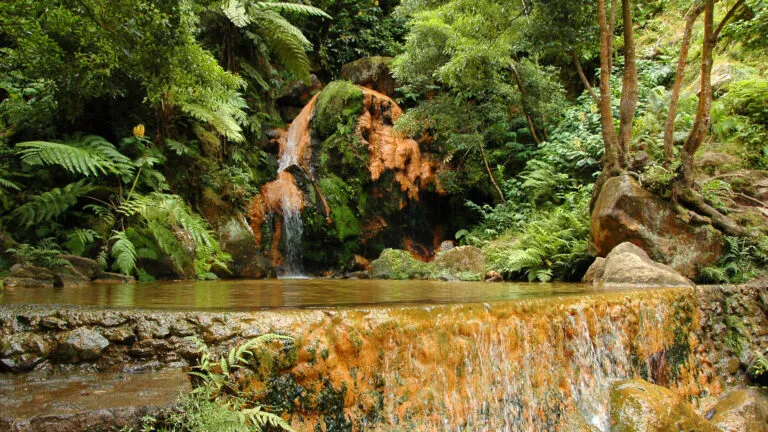 Azoren Sao Miguel Natuurlijk Zwembad Mineraal Water Bossen Groen