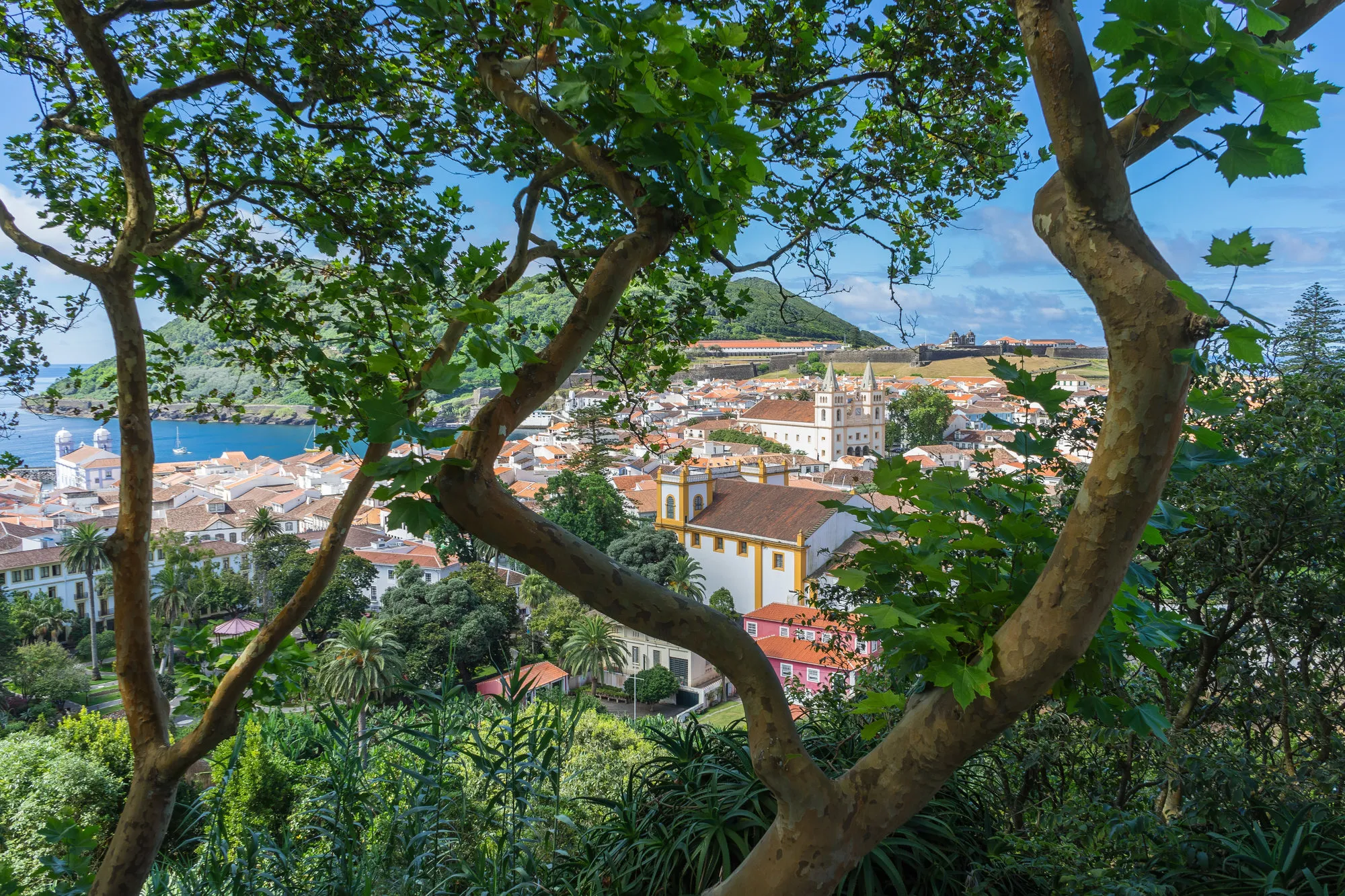 Azoren eiland Terceira Angra Do Heroismo Stad Bomen Kerk