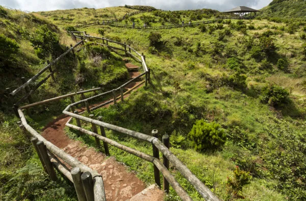 Een houten wandelpad met houten leuningen kronkelt door een groen, vulkanisch landschap bij Furnas do Enxofre op het eiland Terceira in de Azoren.