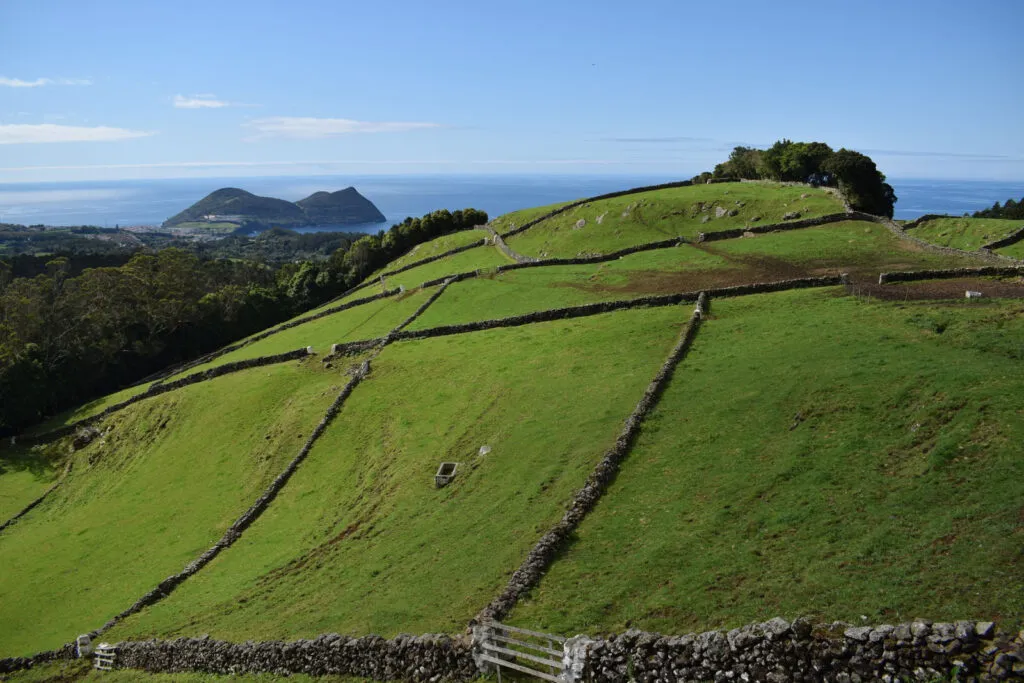 Uitgestrekte groene hellingen verdeeld door zwarte lavastenen muurtjes voor wijnbouw in Biscoitos op het eiland Terceira, met zicht op de oceaan.