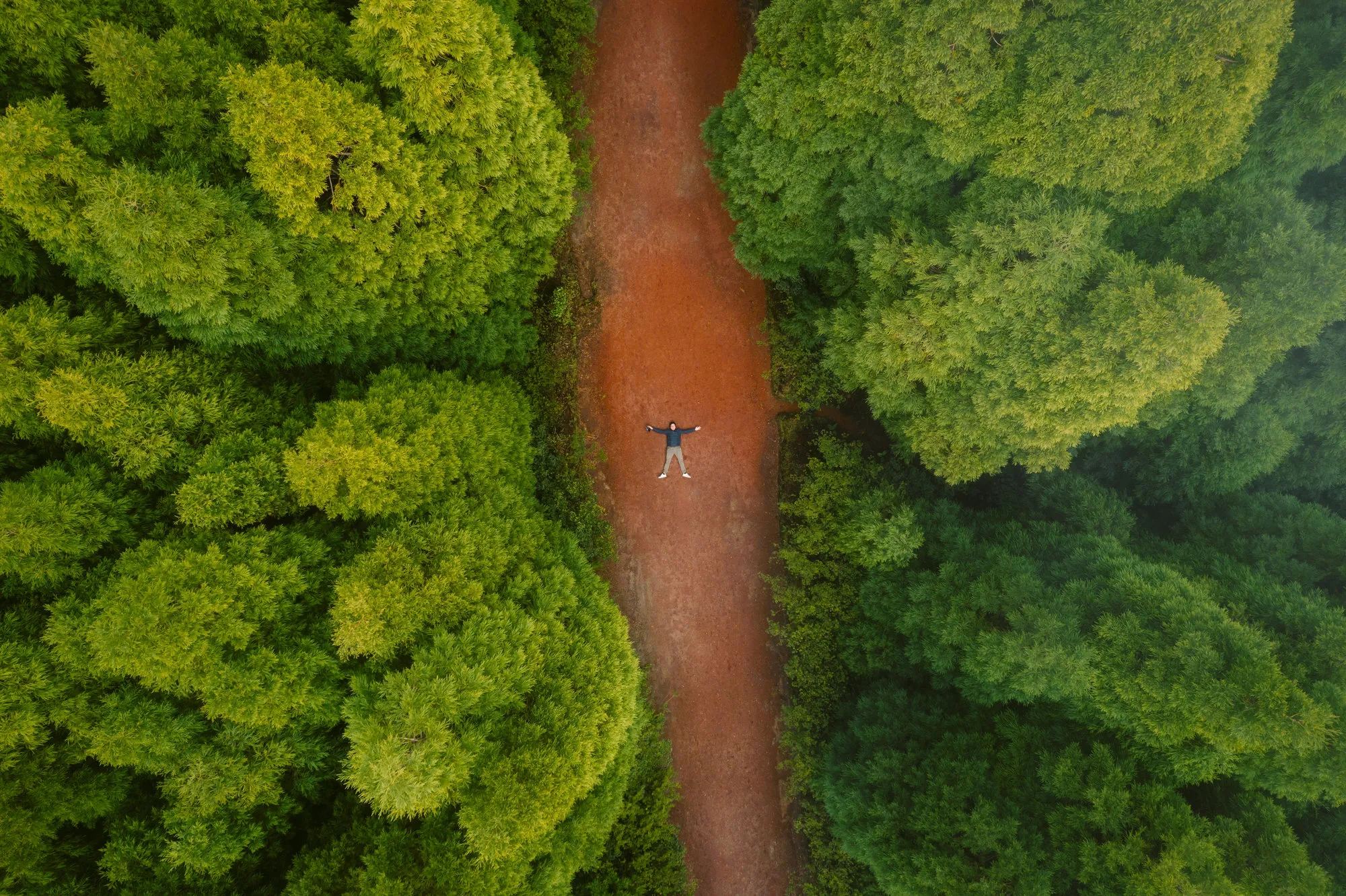 Azoren Sao Miguel Ribeira Grand Omgeving Bergen Bos wandelen in de Azoren