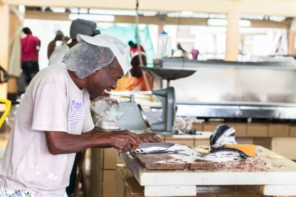 Een lokale man met haarnetje maakt geconcentreerd verse vis schoon bij een werkbank met een weegschaal op een vismarkt op Barbados.