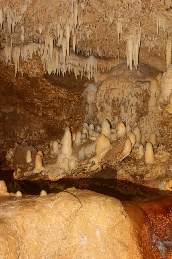 Sfeervol verlichte kalkstenen grot met hangende stalactieten en oprijzende stalagmieten in Harrison's Cave op Barbados.