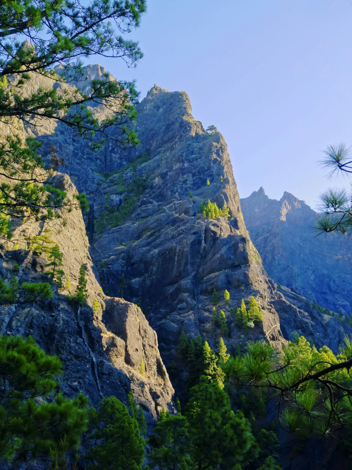 Steile, ruige rotswanden begroeid met groene dennenbomen onder een helderblauwe lucht in Nationaal Park Caldera de Taburiente op La Palma