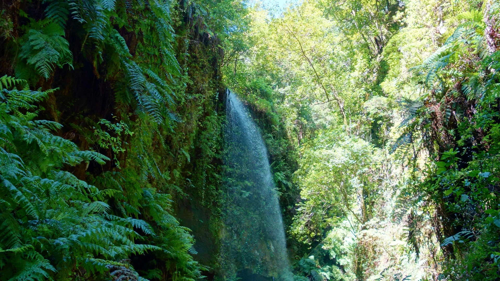 waterval in de groene natuur van La Palma bij Los Tilos