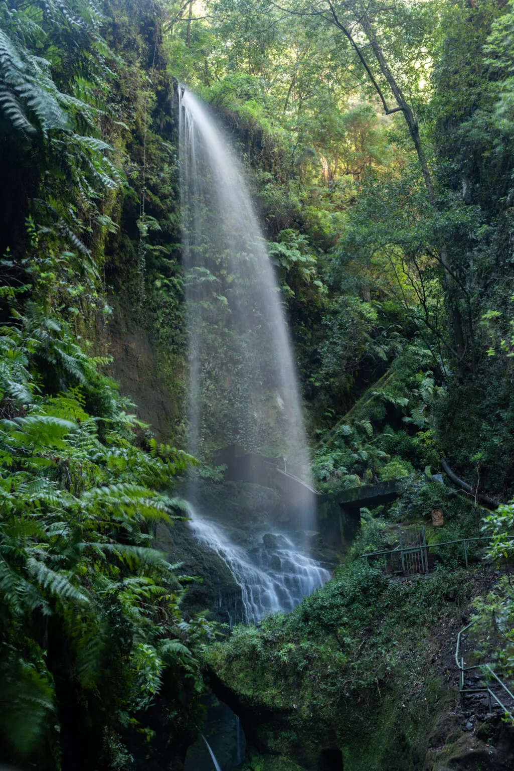 Hoge waterval die naar beneden stroomt tussen dichtbegroeide groene rotswanden in het laurierbos op La Palma