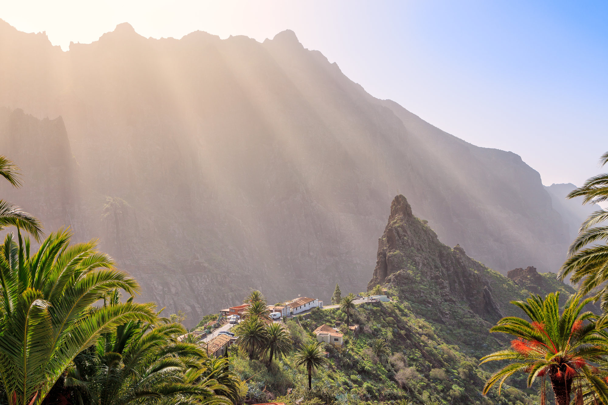 zon door de bergen van Tenerife met tropische planten op de voorgrond