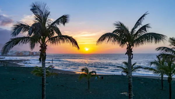 Twee hoge palmbomen in silhouet op het donkere zandstrand tegen een warme, oranje-blauwe zonsondergang boven de oceaan in Puerto de la Cruz op Tenerife