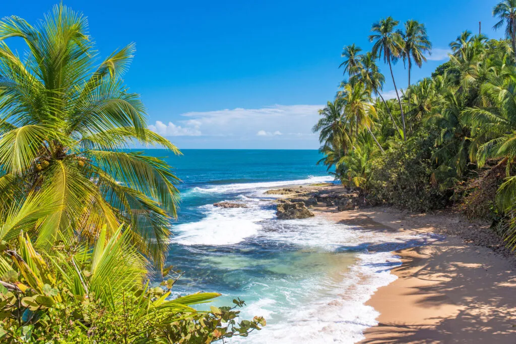 Een paradijselijk onontdekt strand bij Puerto Viejo in Costa Rica
