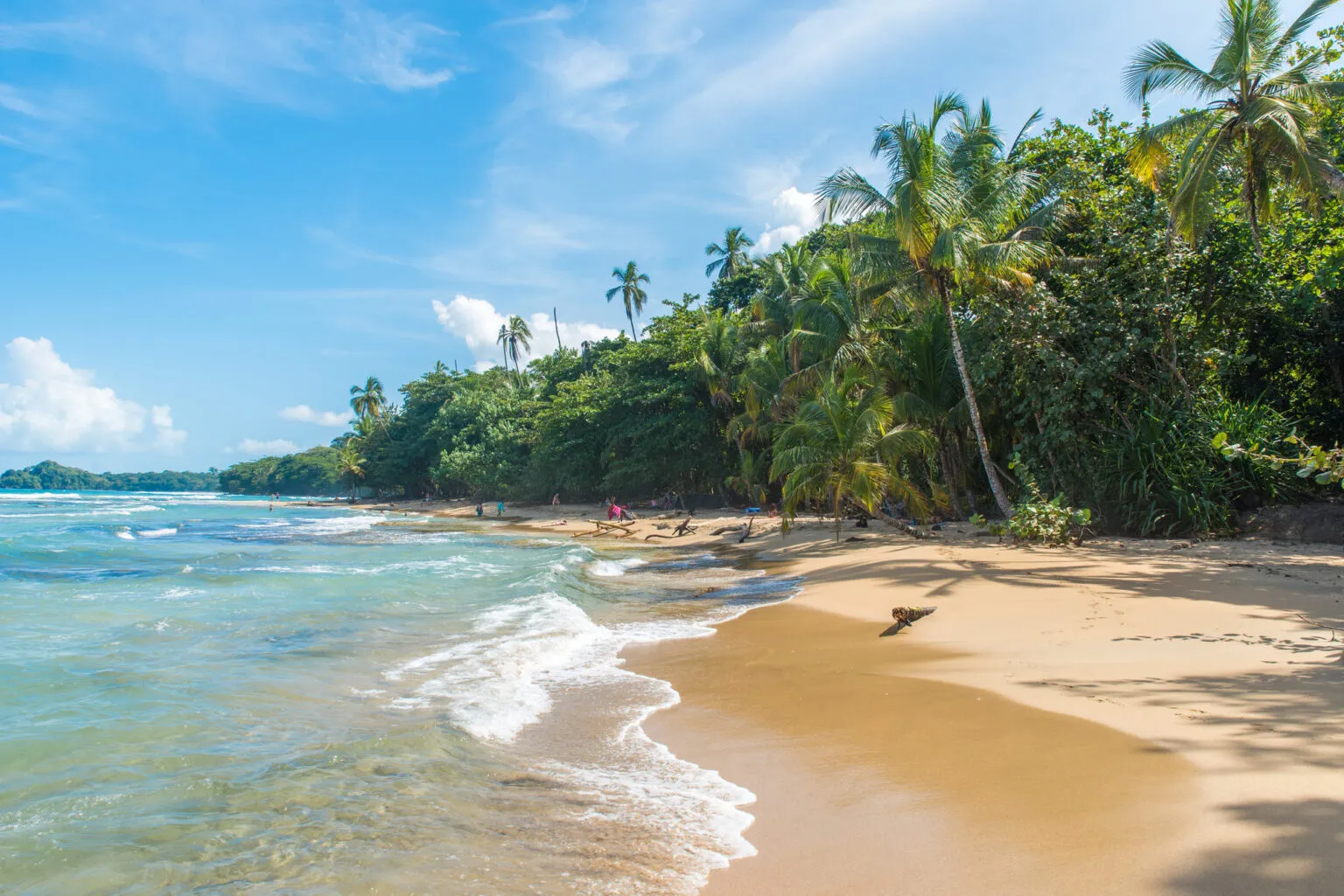 Een goudgeel zandstrand omzoomd door een dicht tropisch bos met palmbomen en een rustige blauwe zee bij Playa Chiquita in Costa Rica.