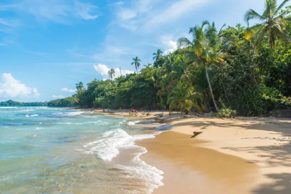 Een goudgeel zandstrand omzoomd door een dicht tropisch bos met palmbomen en een rustige blauwe zee bij Playa Chiquita in Costa Rica.