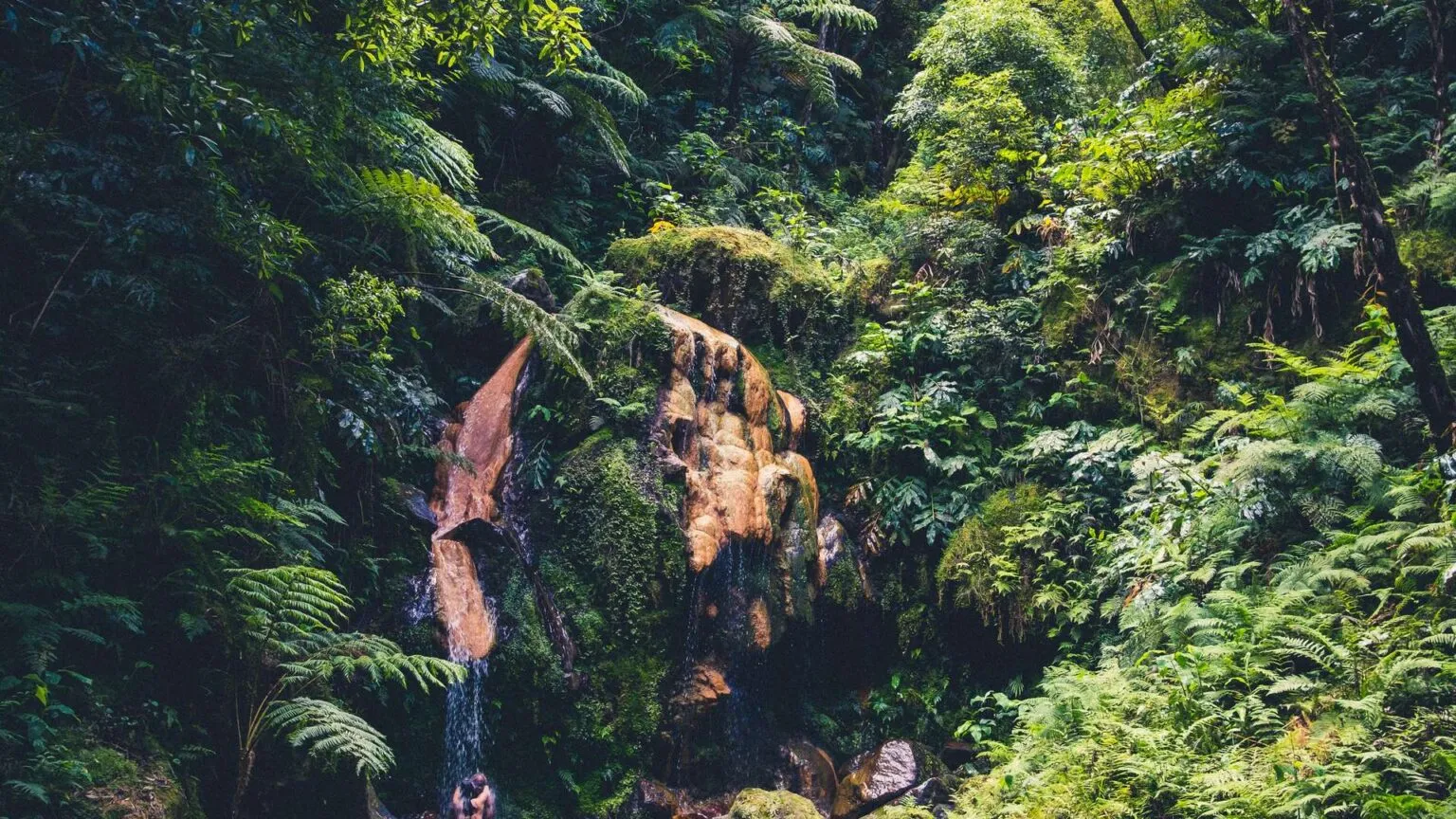 Mocht een zachte lichtinval door het weelderige, groene bladerdek vallen rondom de warmwaterbron en waterval van Caldeira Velha op São Miguel, Azoren.