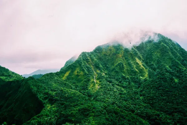 Een sfeervol zicht op de dichtbegroeide, felgroene bergtoppen in het bergachtige binnenland van Dominica, gehuld in lichte nevel en laaghangende wolken.