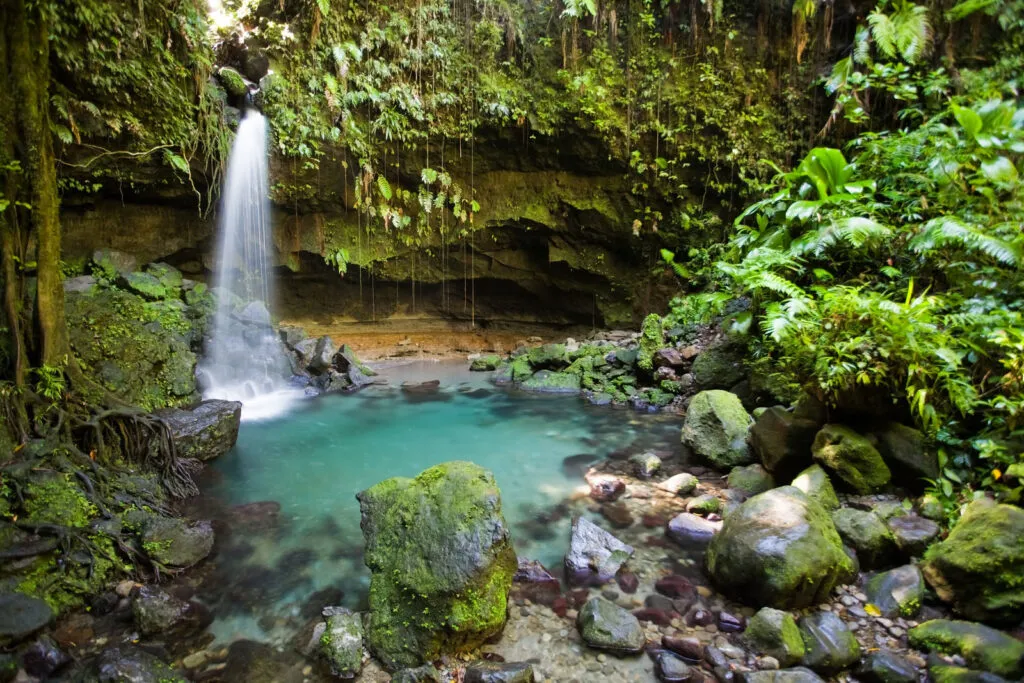 Een verborgen waterval stroomt over mosculturen en rotsen in een heldere, turquoise poel omgeven door weelderige junglevoorzieningen bij Titou Gorge op Dominica.