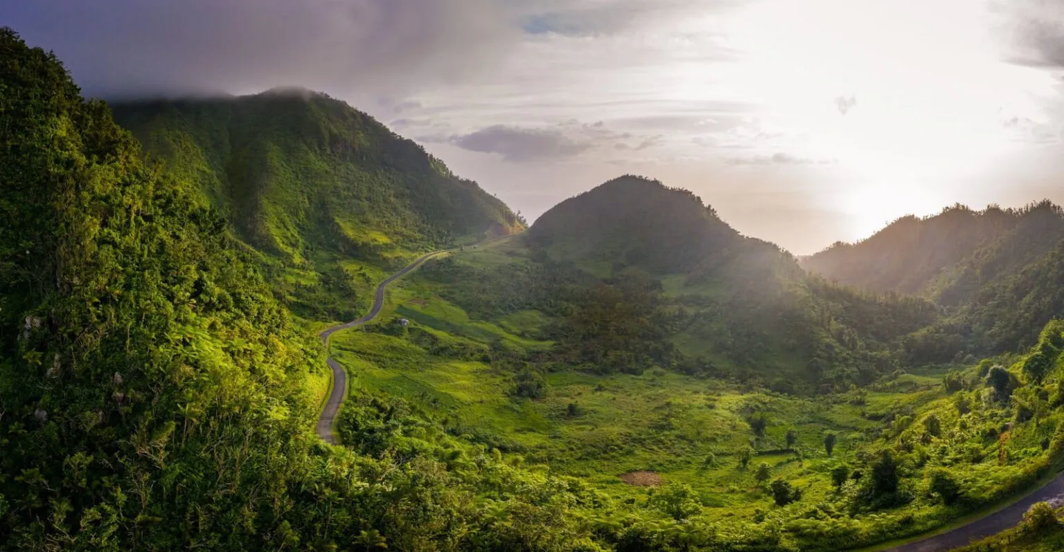 Panoramisch uitzicht over het bergachtige, dichtbegroeide binnenland van Dominica langs de Waitukubuli Trail onder een licht bewolkte hemel.