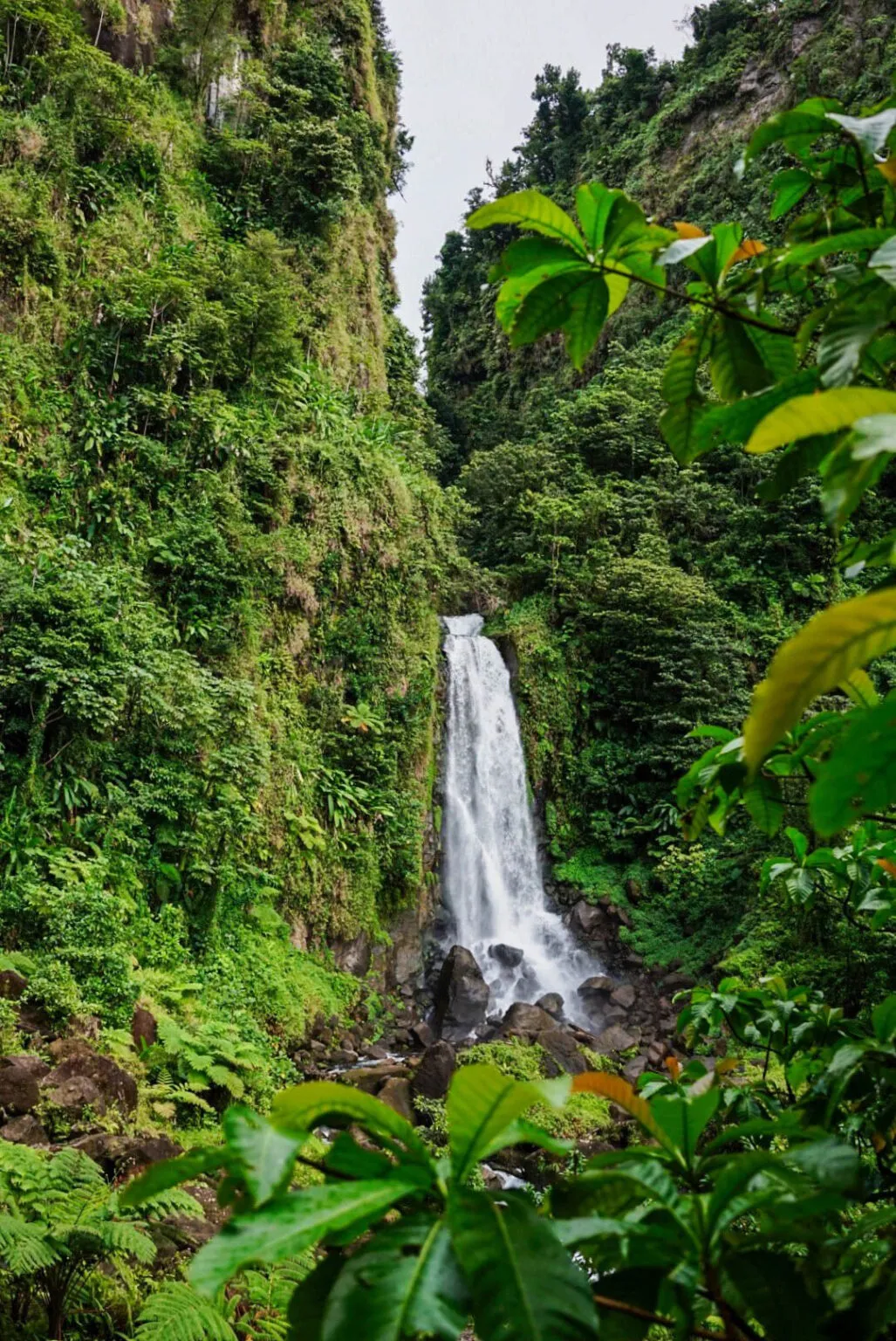 Een indrukwekkende hoge waterval klettert naar beneden te midden van de ruige, groene jungle van Dominica.