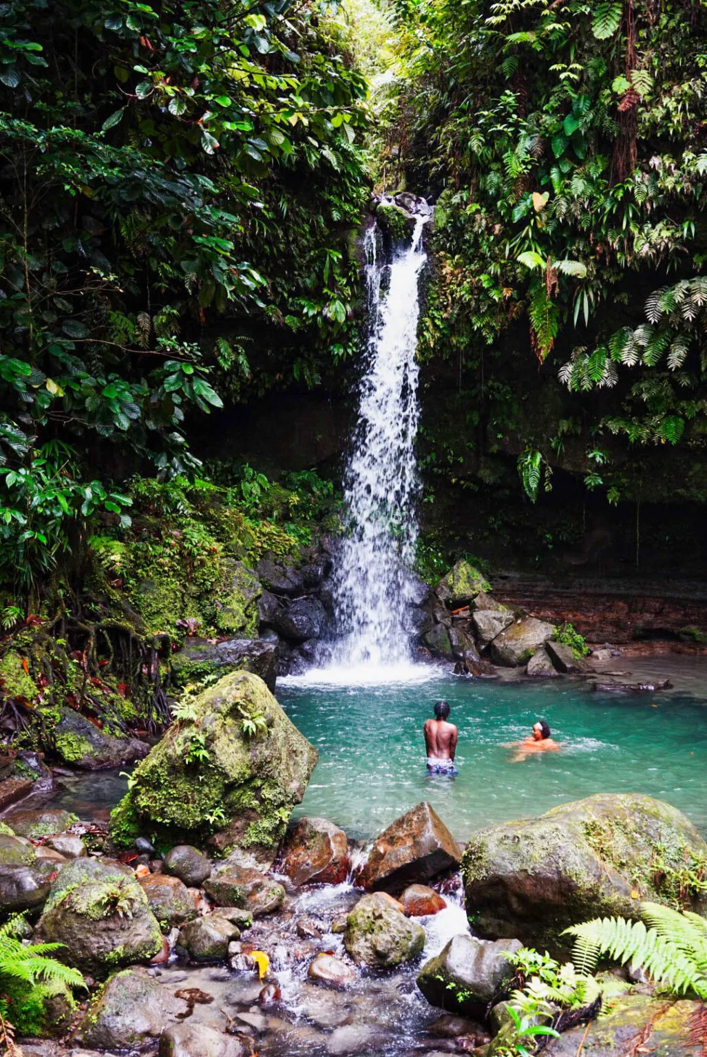 Mensen nemen een verfrissende duik in het natuurlijke zwembad onder een waterval in de jungle van Dominica.