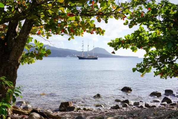 Sfeervol doorkijkje vanuit de schaduw van groene bomen op het strand naar een zeilboot voor anker op de rustige zee voor de bergachtige kust van Dominica.