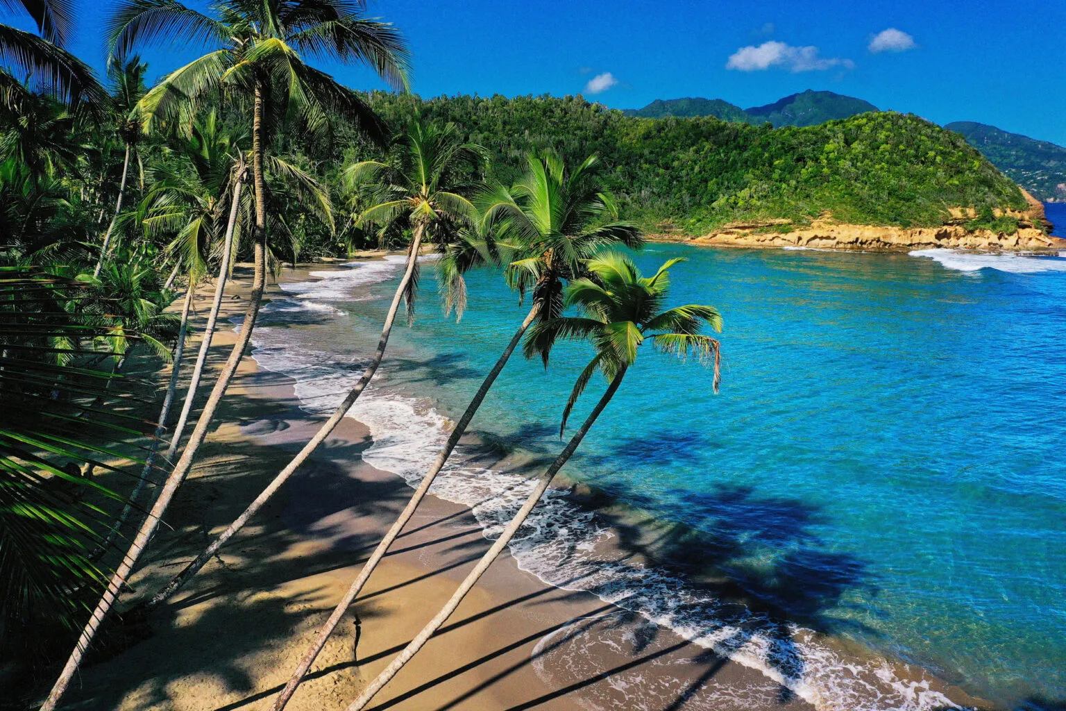 Een schilderachtige tropische baai op Dominica met helderblauw water, een zandstrand en schuin over het strand hellende palmbomen tegen een groene heuvelrug.