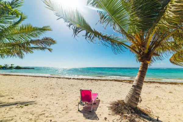 Een felroze strandstoel staat op het goudgele zand van een tropisch strand onder de schaduw van een grote palmboom, met uitzicht op een heldere, turquoise zee op Basse-Terre, Guadeloupe.