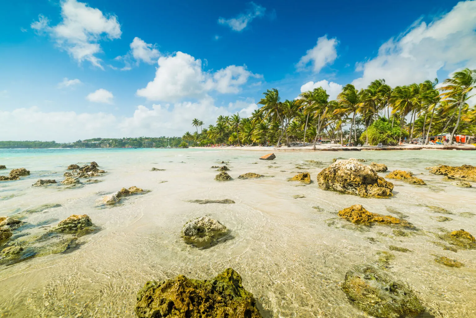 Ondiep, helder zeewater met rotsen in de voorgrond en een wit zandstrand omzoomd door palmbomen bij La Caravelle op Grande-Terre, Guadeloupe.