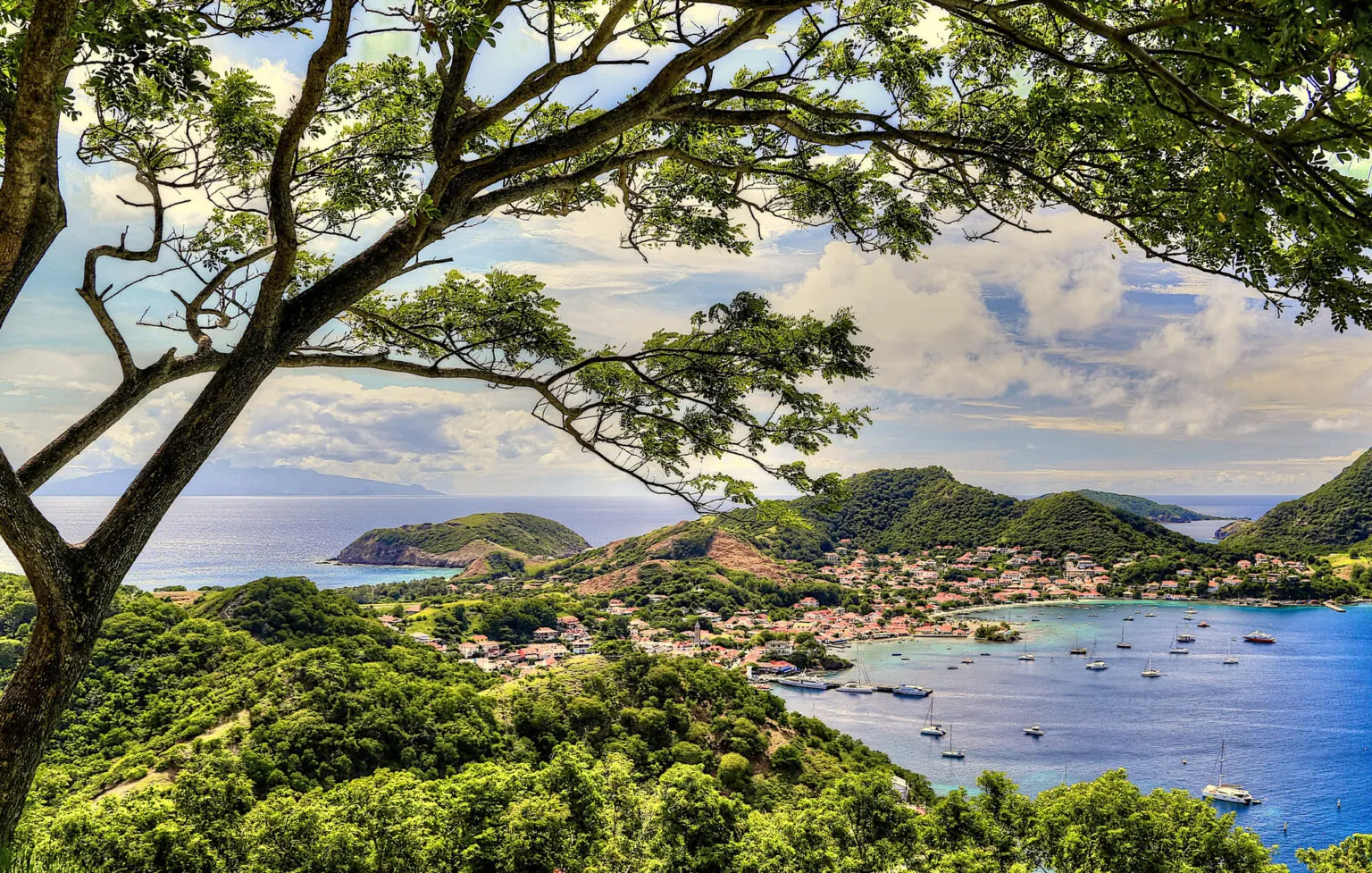 Panoramisch uitzicht over de heuvels en de baai van Les Saintes in Guadeloupe met talloze voor anker liggende zeilboten.
