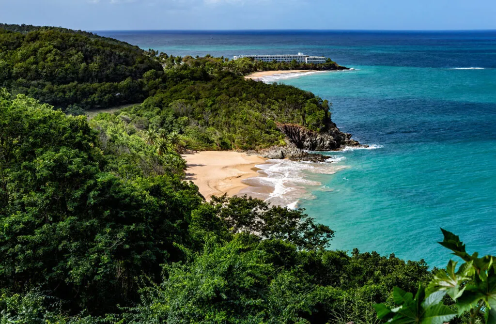 Uitzicht van bovenaf op een beschut gouden zandstrand aan een helderblauwe zee, omgeven door dichtbegroeide groene heuvels en een ruige kustlijn op Guadeloupe.