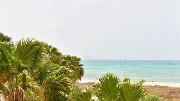 Uitzicht op palmbomen, een zandstrand en de turquoise oceaan met dobberende zeilboten vanaf Guesthouse Orquidea in Sal Rei op Boa Vista, Kaapverdië.