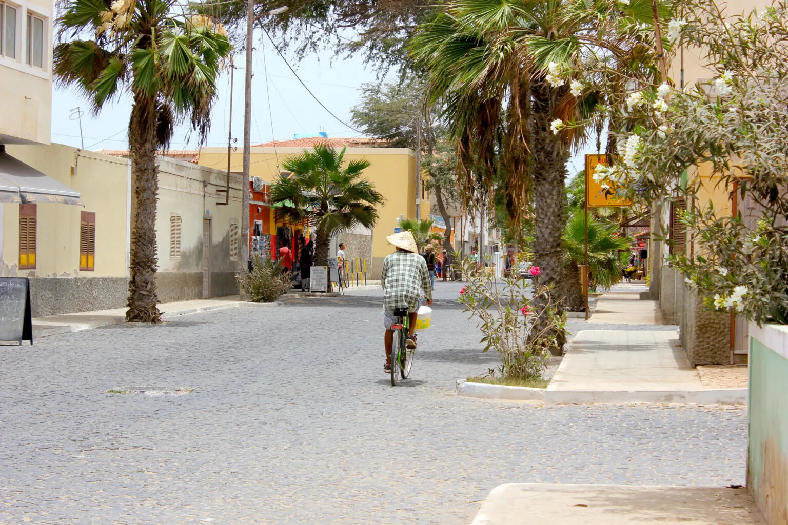 Sfeervolle en rustige straat met palmbomen en een fietser in het centrum van Santa Maria op Sal, Kaapverdië