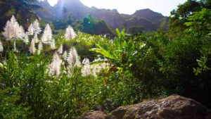 vakantie naar de groene kaap - Vakantie Kaapverdië gastblog Linde-Kee